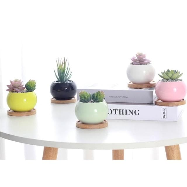 沐晨植物園｜圓球多肉陶盆 多肉盆 陶瓷花盆 多肉盆栽 花盆 圓形陶盆