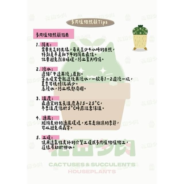 《花田多肉》🌵【泰迪熊】 3吋盆 多肉植物/兔耳/多肉/景天科/戶外植物