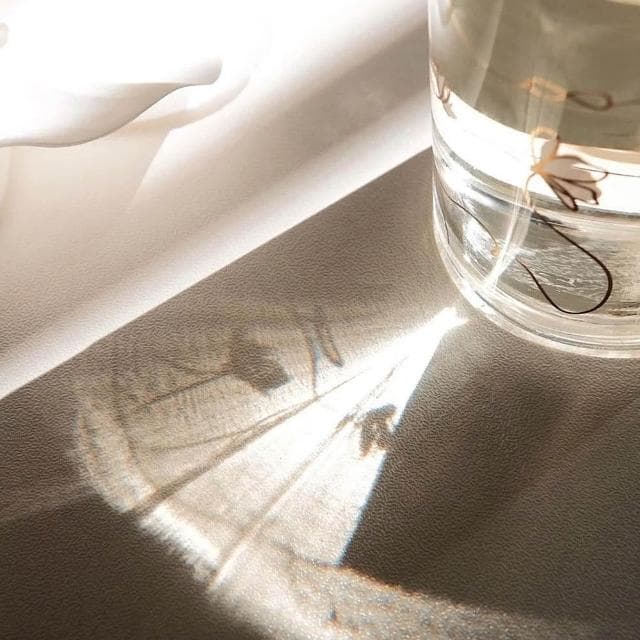 【Acqua Di Parma】帕爾瑪之水 格調系列 無限木蘭淡香精 100ml(國際航空版) 送禮推薦