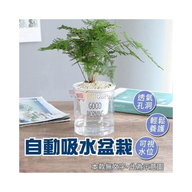 花盆 吸水花盆 簡約花盆 懶人花盆 自動吸水盆栽 吸水花盆 透明花盆 水培花盆 盆栽 塑膠盆 室內植物花盆