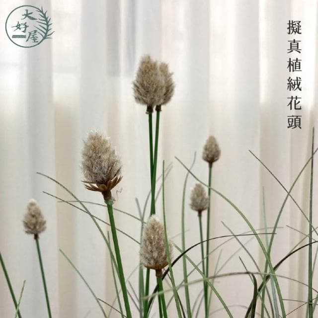 大好屋仿真花 現貨 仿真小兔尾草 盆栽 單盆 仿真綠葉 綠植 仿真兔尾草 佈景 造景 櫥窗 店面裝飾 人造植物
