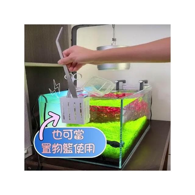 水培定植籃 定植杯 水草籃 固定籃 水培盆 水培籃 水耕盆栽 水耕植物盆 魚菜共生 無土栽培 水耕栽培盆 培育魚苗 掛盆