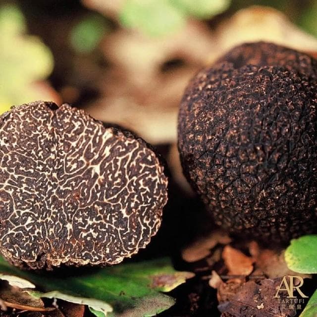 A.R 艾儞皇 頂級黑松露蘑菇醬90g-3入組 (松露含量15%;松露醬/Tartufo/菌菇醬)