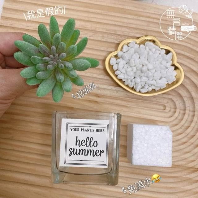 仿真多肉玻璃盆 多肉擺件 小盆栽 仿真盆栽 拍照道具 桌面盆栽 假植物 仿真植物 仙人掌 多肉 迷你盆栽