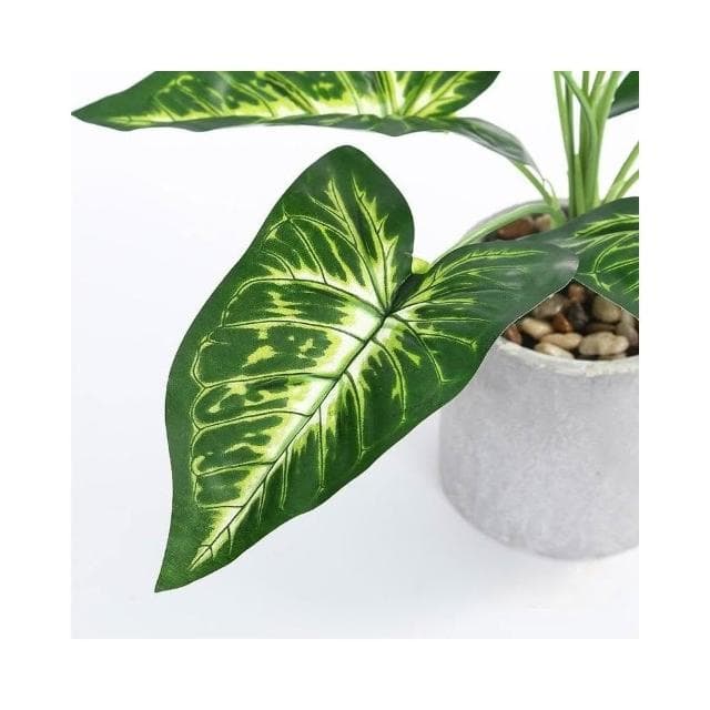 臺灣熱銷 北歐仿真植物擺飾 植物盆栽 仿真盆栽 仿真植物 植栽 仿真花 仿真植物 擺飾 居家裝飾 裝飾植物