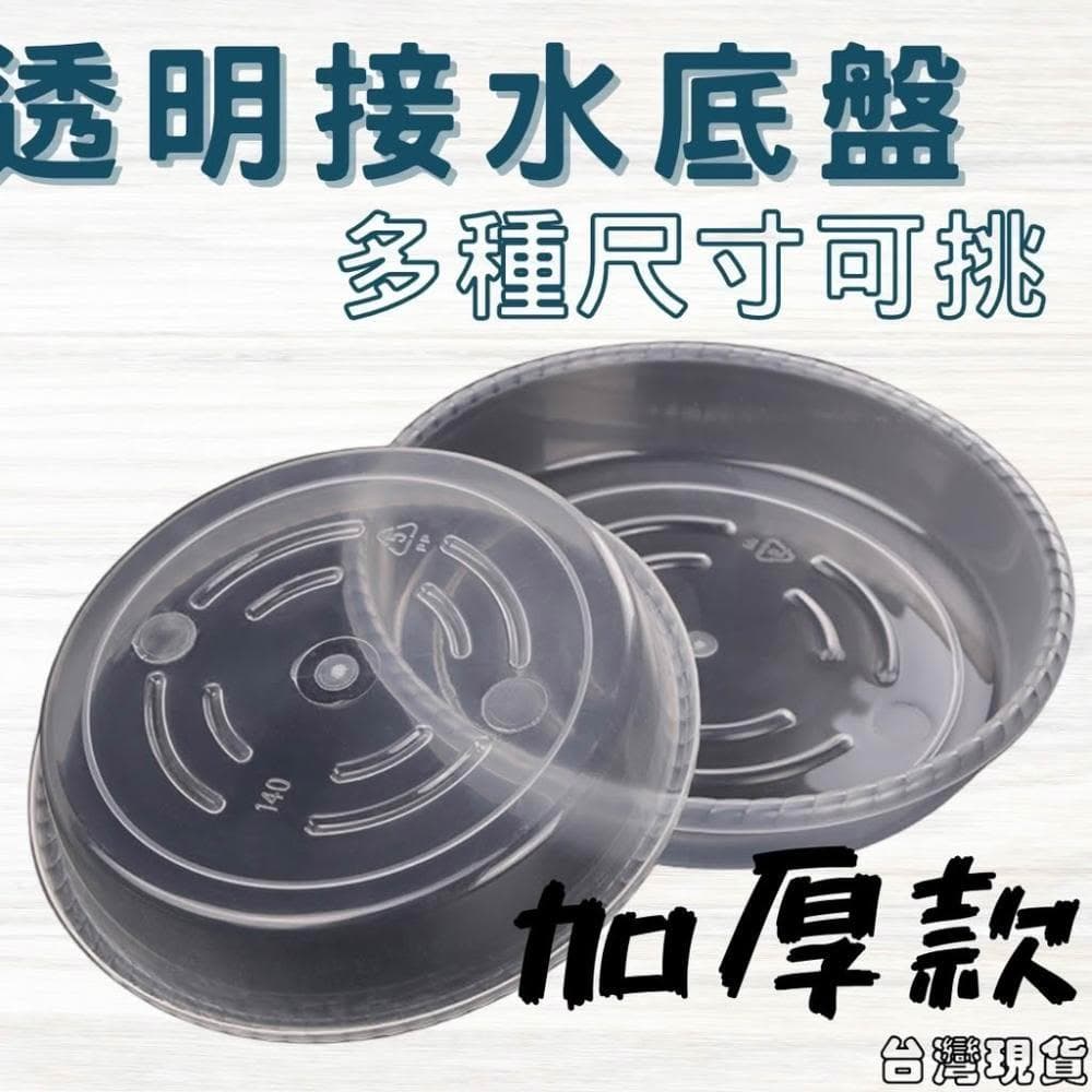 沐晨植物園｜水盤 底盤 花盆托盤 透明托盤 透明接水盤 盆栽底盤 塑膠托盤 接水盤 花盆底盤 尺寸齊全