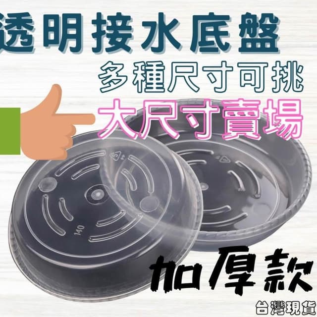 沐晨植物園｜水盤 底盤 花盆托盤 透明托盤 透明接水盤 盆栽底盤 塑膠托盤 接水盤 花盆底盤 大尺寸托盤