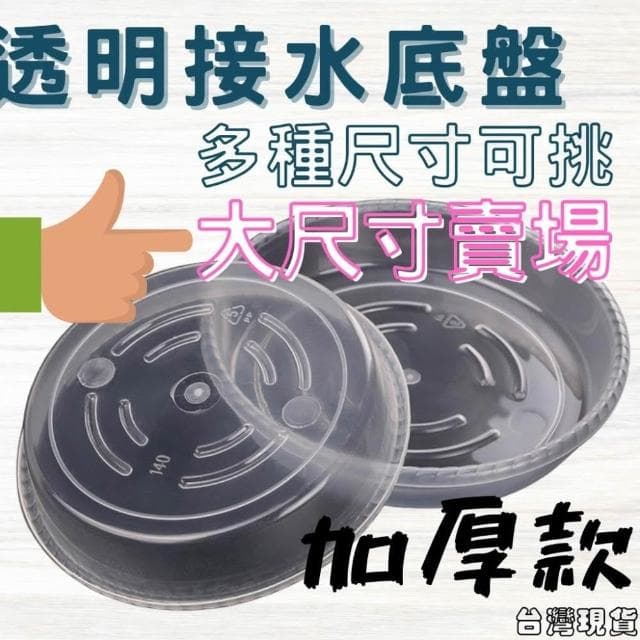 沐晨植物園｜水盤 底盤 花盆托盤 透明托盤 透明接水盤 盆栽底盤 塑膠托盤 接水盤 花盆底盤 大尺寸托盤