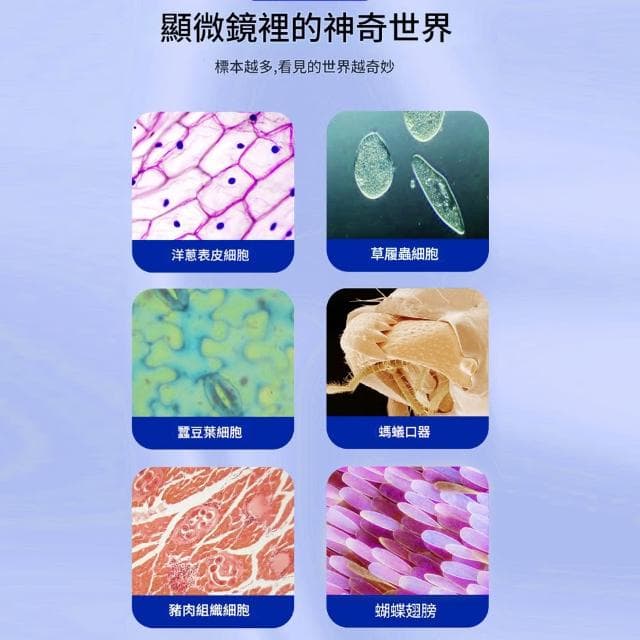 【RTAKO】單目高清顯微鏡 高清光學顯微鏡 兒童生日禮物 益智孩童玩具 教學級顯微鏡 45°調節觀測 200000倍光學顯微鏡