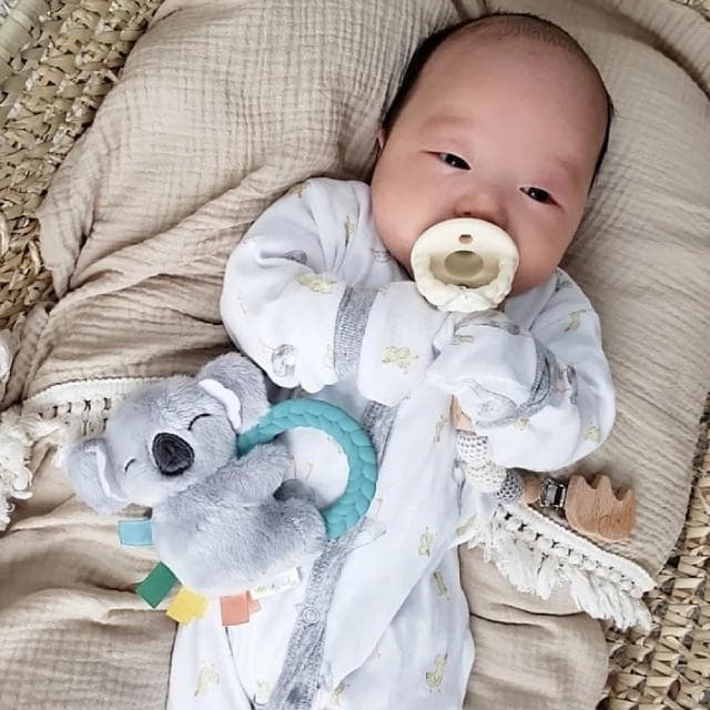 【Itzy Ritzy】Itzy Ritzy 玩偶遊戲環 多款可選(安撫玩具 固齒器 彌月禮)