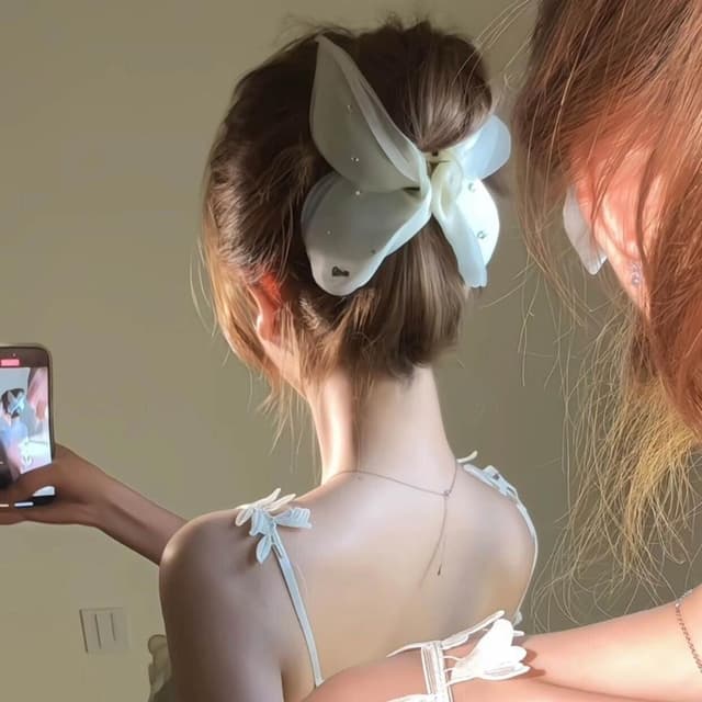 鯊魚夾法式超仙薄紗水鉆蝴蝶結小抓夾後腦勺盤發發夾女2025年髮夾 (七夕 情人節 生日 髮飾 頭飾 鯊魚夾 抓夾 禮物)