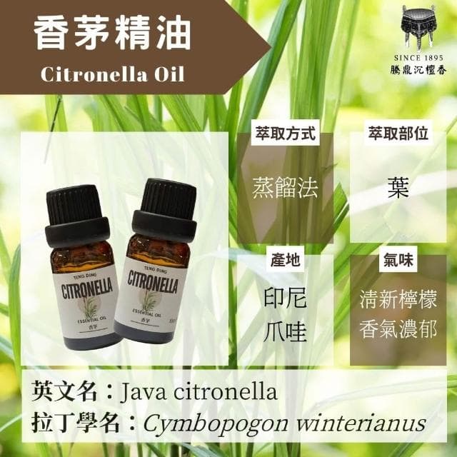 騰鼎沉檀香_香茅精油 10ml_精油 香氛精油 天然精油 植物精油 芳療精油 芳療 擴香 薰香 水氧機 擴香機 加濕器