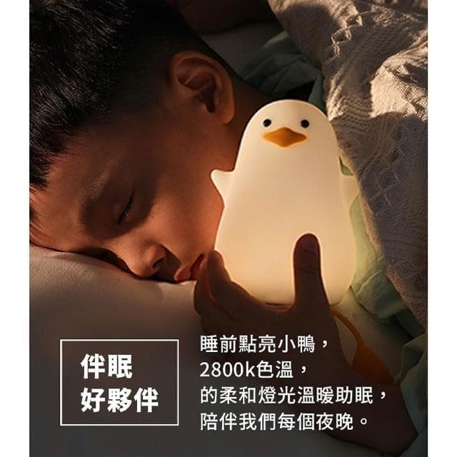 舒米好物 拍拍燈 LED 小夜燈 伴眠燈_小海鷗(白色 情人節禮物 生日禮物 躺平鴨 交換禮物)