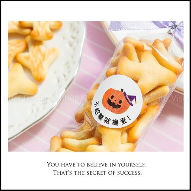g2745 輕巧包飛機餅乾 生日分享禮 婚禮小物 畢業禮物 神明祝壽 考試 情人節 母親節 父親節 聖誕節 二次進場禮