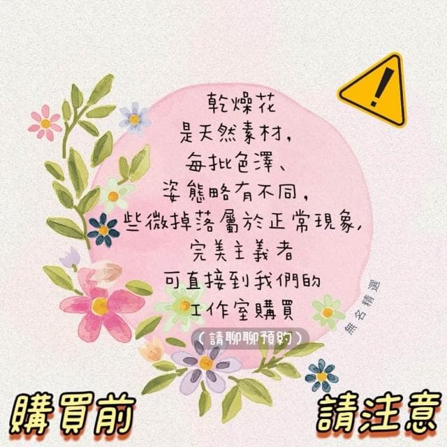 大把乾燥花 星辰/滿天星/情人草/卡斯比亞 乾燥花花束 永生花 情人節禮物 生日禮物 拍照道具背景 餐廳佈置