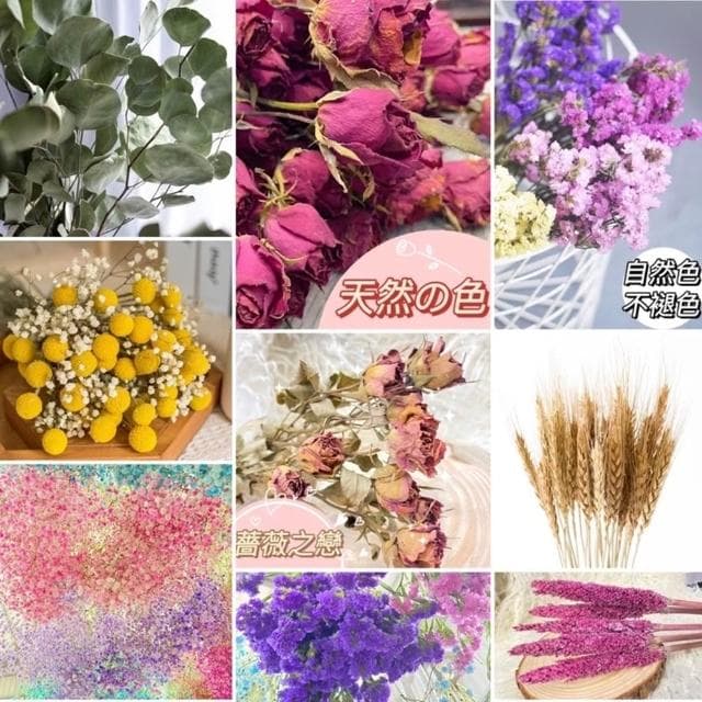 大把乾燥花 星辰/滿天星/情人草/卡斯比亞 乾燥花花束 永生花 情人節禮物 生日禮物 拍照道具背景 餐廳佈置