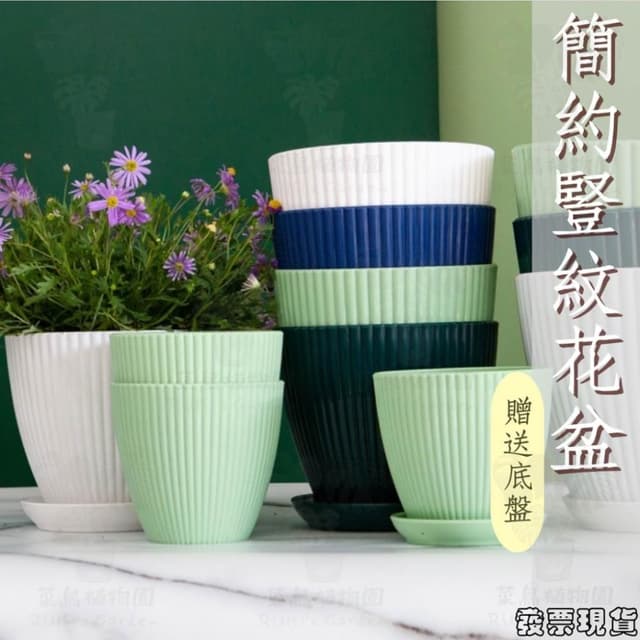 沐晨植物園｜花盆 塑膠花盆 白色花盆 盆栽 塑膠盆 盆栽容器 圓形花盆 北歐花盆花器 盆器 透氣花盆 控根盆