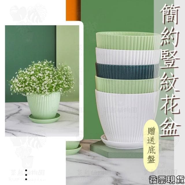 沐晨植物園｜花盆 塑膠花盆 白色花盆 盆栽 塑膠盆 盆栽容器 圓形花盆 北歐花盆花器 盆器 透氣花盆 控根盆