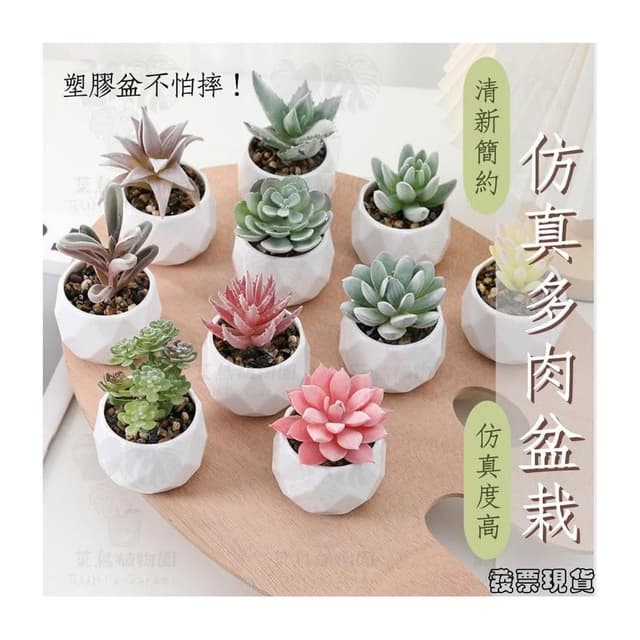 沐晨植物園｜仿真植物 仿真多肉 盆栽裝飾 小盆栽假植物 假盆栽 辦公室盆栽 迷你盆栽 仿真盆栽 仿真植物盆栽 居家裝飾
