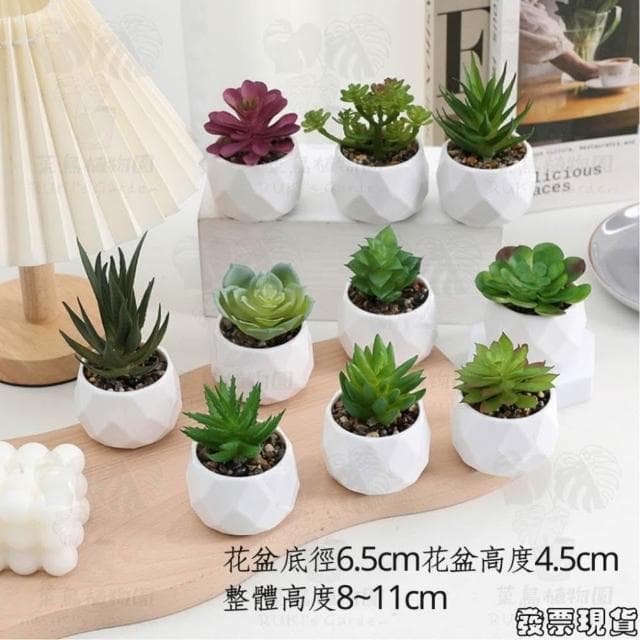 沐晨植物園｜仿真植物 仿真多肉 盆栽裝飾 小盆栽假植物 假盆栽 辦公室盆栽 迷你盆栽 仿真盆栽 仿真植物盆栽 居家裝飾