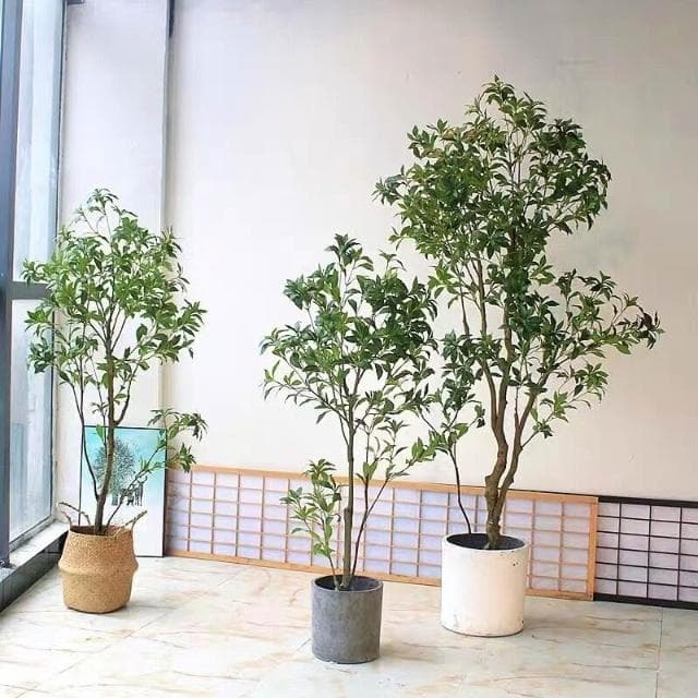 【未晚家居館】 西西裏仿真植物吊鐘馬醉木假樹盆栽 北歐INS家居室內落地擺件裝飾
