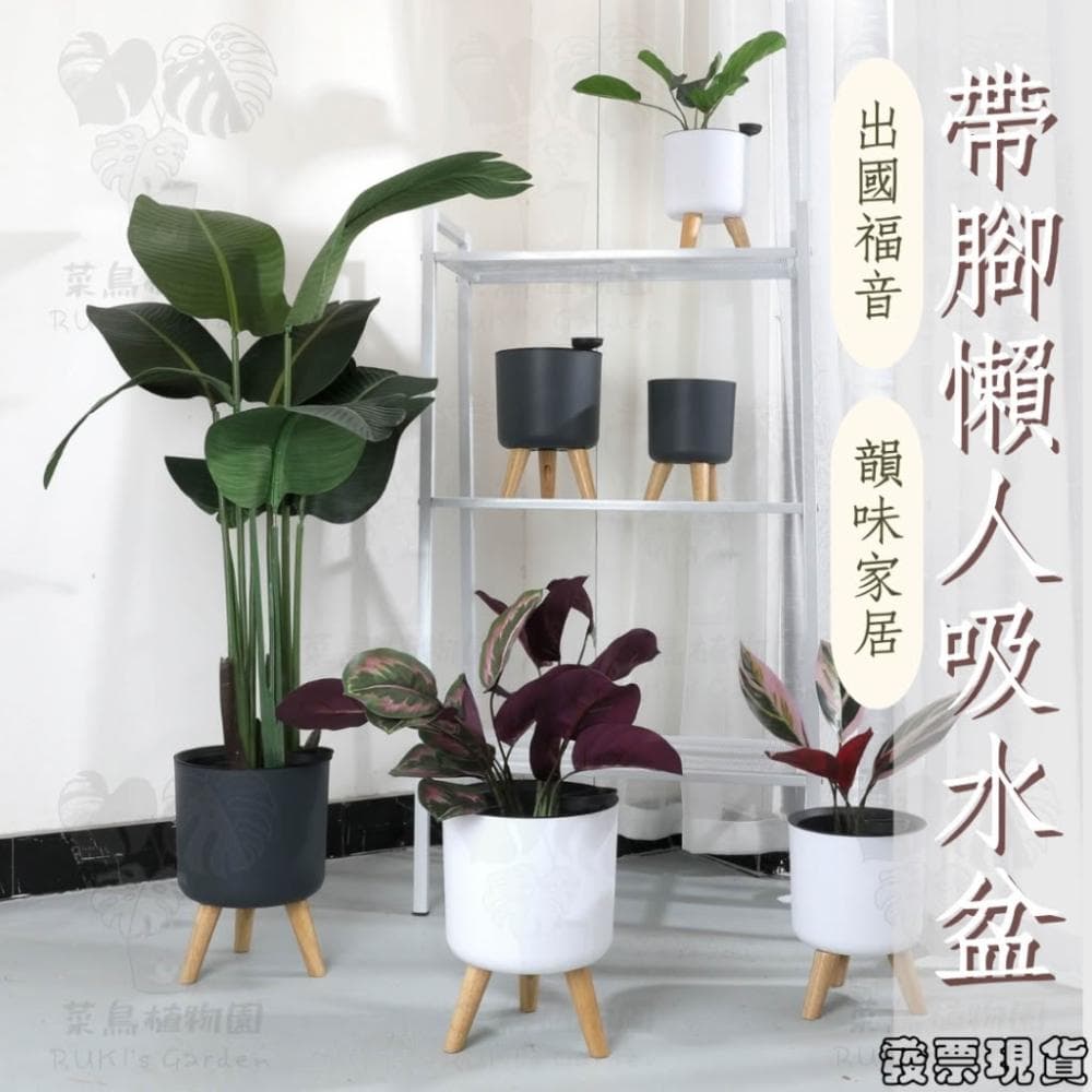 沐晨植物園｜懶人花盆 懶人盆栽 吸水花盆 自吸水花盆  免澆水花盆 自吸水花盆