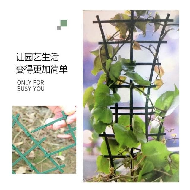 扇形爬藤支架 一組兩片 園藝植物盆栽蝴蝶蘭藤蔓陽台室內固定支架 觀賞植物爬藤網網架