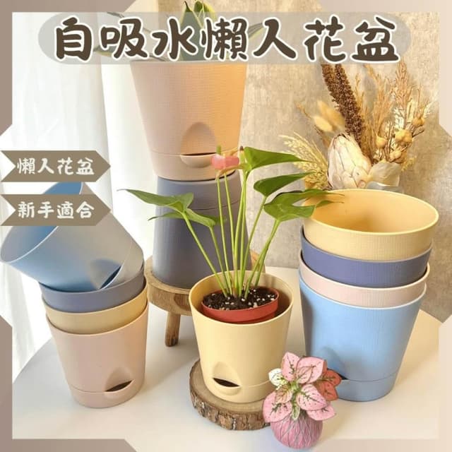 沐晨植物園｜自吸水懶人花盆 懶人盆 花盆 水培花盆 水耕盆栽 懶人盆栽 水培 多肉花盆 園藝 小花盆