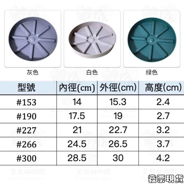 沐晨植物園｜花盆底盤 水盤 塑膠底盆 底盤 花盤托盤 接水盤 盆栽底盤 塑膠托盤 透明水盤 園藝 植物底盤