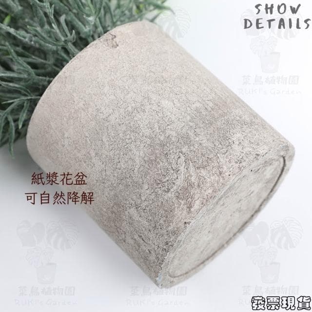 沐晨植物園｜仿真植物 盆栽裝飾 假盆栽 辦公室盆栽 迷你盆栽 仿真盆栽 仿真植物盆栽 居家裝飾 室內盆栽