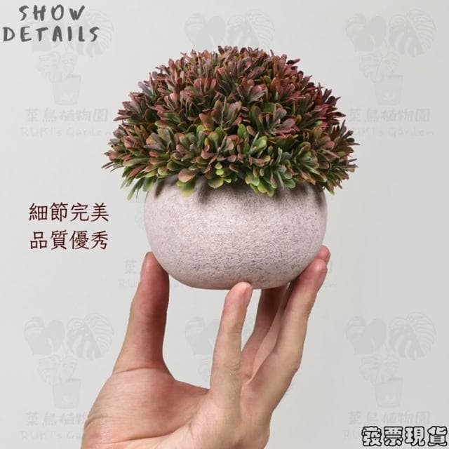 沐晨植物園｜仿真植物 盆栽裝飾 假盆栽 辦公室盆栽 迷你盆栽 仿真盆栽 仿真植物盆栽 居家裝飾 室內盆栽