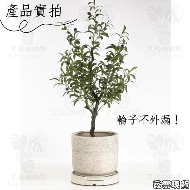 沐晨植物園｜移動接水底盤 移動托盤 移動接水盤 盆栽底盤 植栽底盤 盆栽托盤 植栽托盤 加侖盆托盤 控根盆底盤