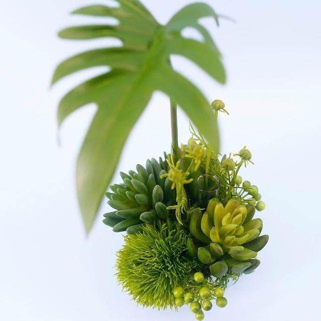 【HUGO DECO 榆果傢飾】春雨葉多肉草球香氛植栽(擬真植物/人造盆栽/綠化/佈置/禮物)