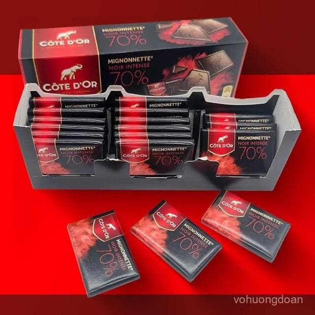 心心相印 波蘭進口零食 克特多金象黑巧克力/牛奶巧克力排塊240g 節日禮物