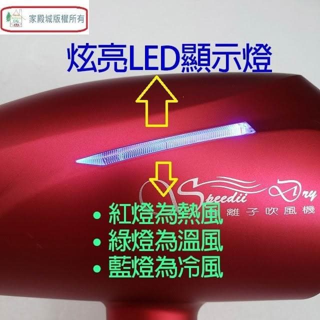 【達新牌】達新 TS-2969 銀離子抗菌負離子吹風機