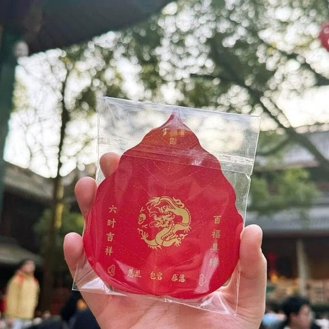 杭州靈隱四代十八籽手串菩提多寶景區 龍德耀日 寺廟同款 18籽檀香手鍊 化煞 招財 祈福 手鏈