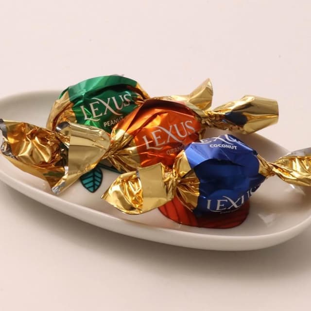 LEXUS 蕾克斯綜合可可球元寶禮盒 800g 奶素 獨立包裝