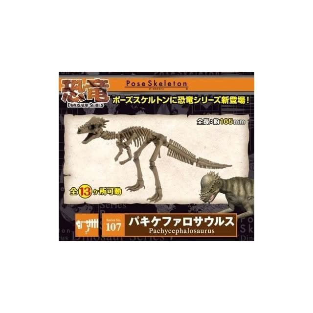 大旺小舖:日本正版Re-Ment食玩骨頭人骨頭恐龍厚頭龍 No.107科學教具搭配黏土人生日結婚母親節情人節聖誕交換禮物
