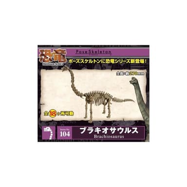 大旺小舖:日本正版Re-Ment食玩骨頭人骨頭恐龍腕龍No.104科學教具搭配黏土人生日結婚母親節情人節聖誕交換禮物