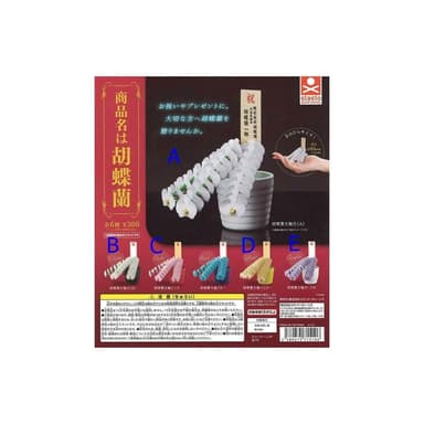 大旺小舖:台北現貨轉蛋 蝴蝶蘭 一套6款 生日結婚母親節情人節聖誕交換禮物 實體店面