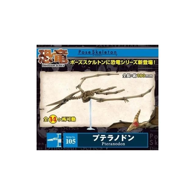 大旺小舖:日本正版Re-Ment食玩骨頭人骨頭恐龍無齒翼龍No.105科學教具搭配黏土人生日結婚母親節情人節聖誕交換禮物