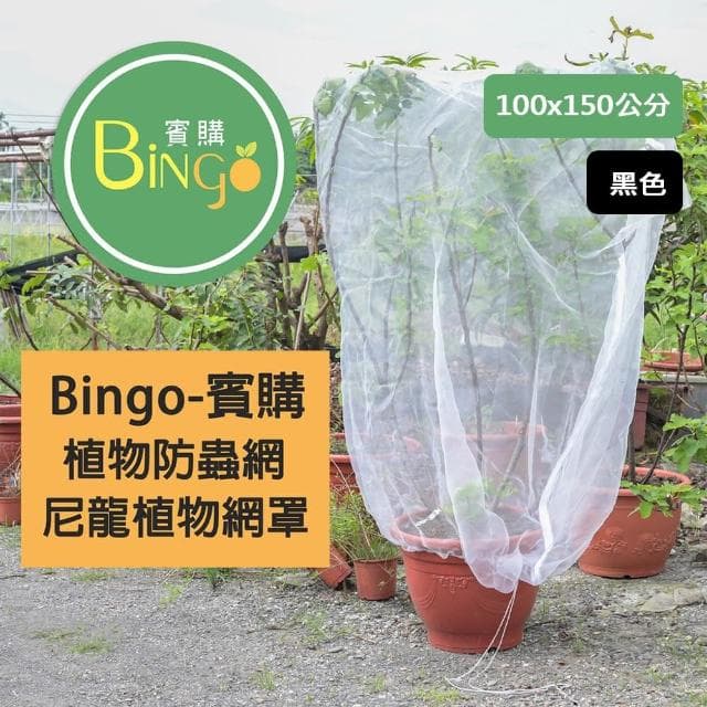 Bingo賓購 尼龍植物防蟲網罩 100x150公分(防鳥罩、防鳥網、無花果樹網、盆栽果樹網)