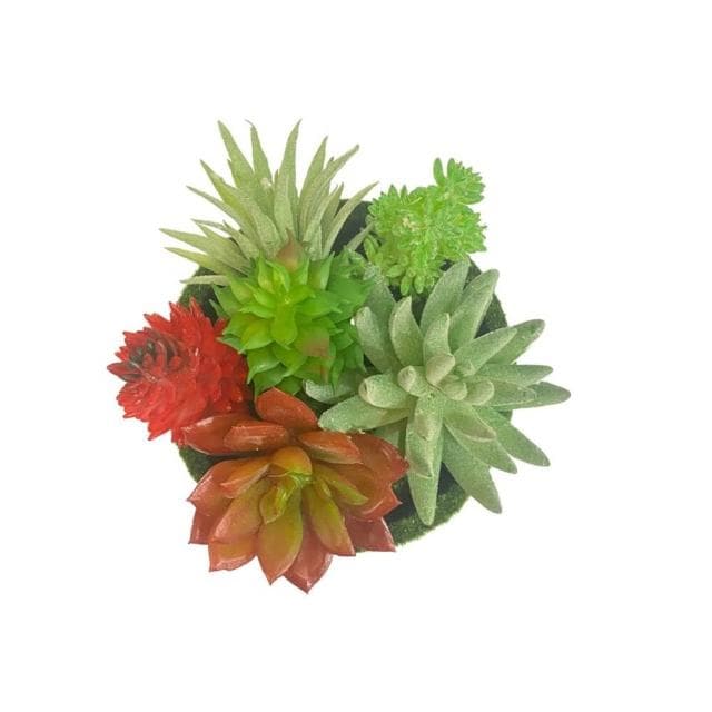 仿真多肉 組盆多肉 人造花 仿真花 組盆 療癒 佈置 療癒植物 多肉盆栽佈置 GXS拍照道具