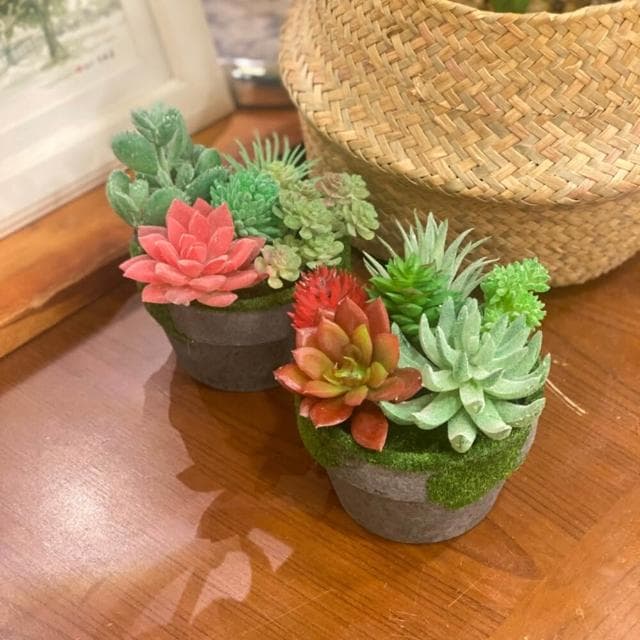 仿真多肉 組盆多肉 人造花 仿真花 組盆 療癒 佈置 療癒植物 多肉盆栽佈置 GXS拍照道具