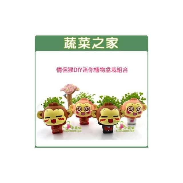【蔬菜之家】情侶猴DIY迷你植物盆栽組合