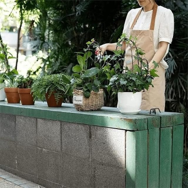 《斑啾植選》造型攀爬架-幾何系列(造型花架｜山烏龜架｜金屬支架｜綠蘿支架｜盆栽用支架｜植物攀爬支架)