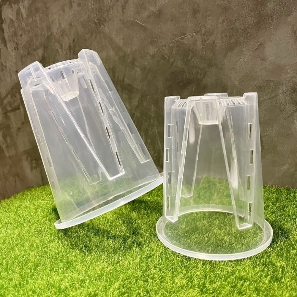 《斑啾植選》內建空氣柱透明高腳盆｜12cm(控根盆｜觀葉專用盆｜蘭花盆｜觀葉植物｜雨林｜白龜｜斑葉｜龜背芋｜室內植物｜盆栽)