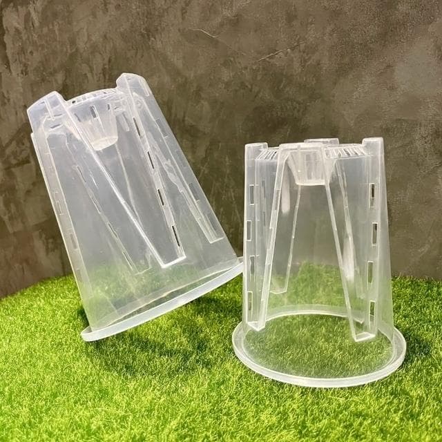 《斑啾植選》內建空氣柱透明高腳盆｜12cm(控根盆｜觀葉專用盆｜蘭花盆｜觀葉植物｜雨林｜白龜｜斑葉｜龜背芋｜室內植物｜盆栽)