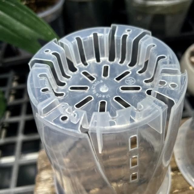 《斑啾植選》輕量高腳盆｜透明14cm(控根盆｜觀葉專用盆｜蘭花盆｜觀葉植物｜雨林｜白龜｜斑葉｜龜背芋｜室內植物｜盆栽)