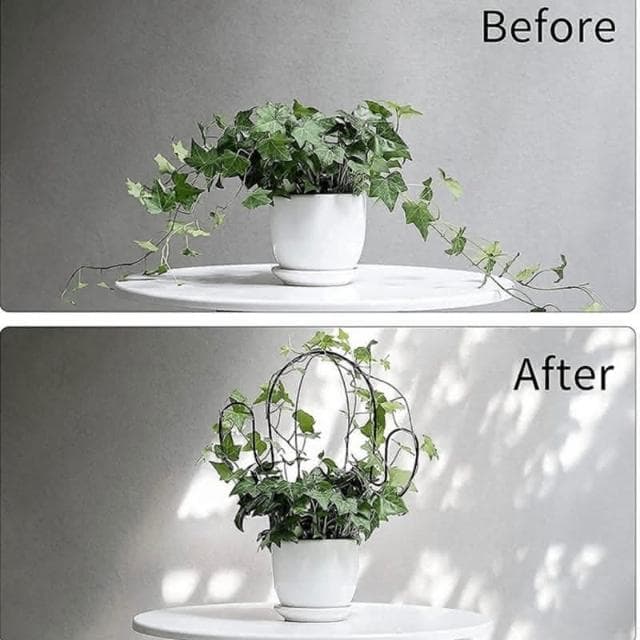 《斑啾植選》造型攀爬架-圓圈系列(造型花架｜山烏龜架｜金屬支架｜綠蘿支架｜盆栽用支架｜植物攀爬支架)